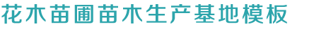 k8凯发推荐电游官网